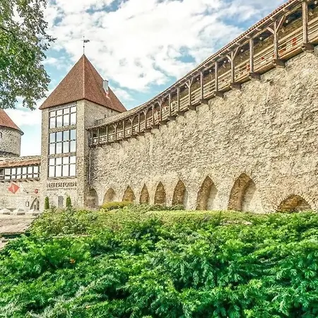 Away From Centre Near Kadriorg 아파트 *